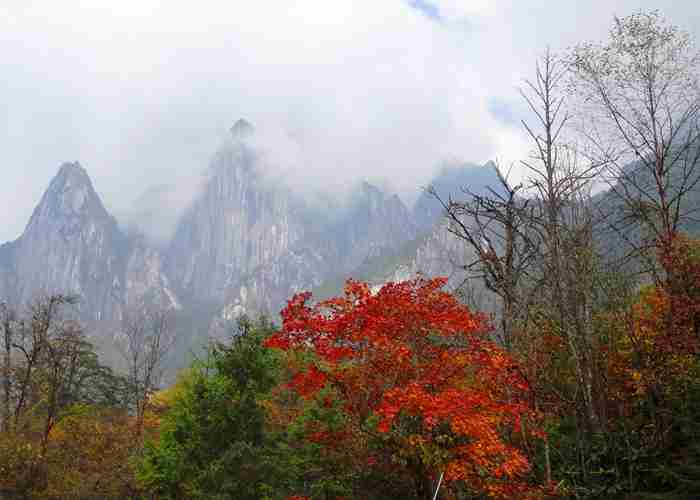 成都景区直通车票能退吗？亲测退款流程，这些*你别踩！-第1张图片-成都租车公司